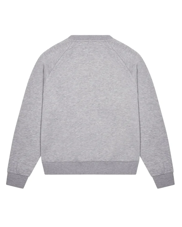 Trapstar Foundation Crew Sweatshirt Grey in Back